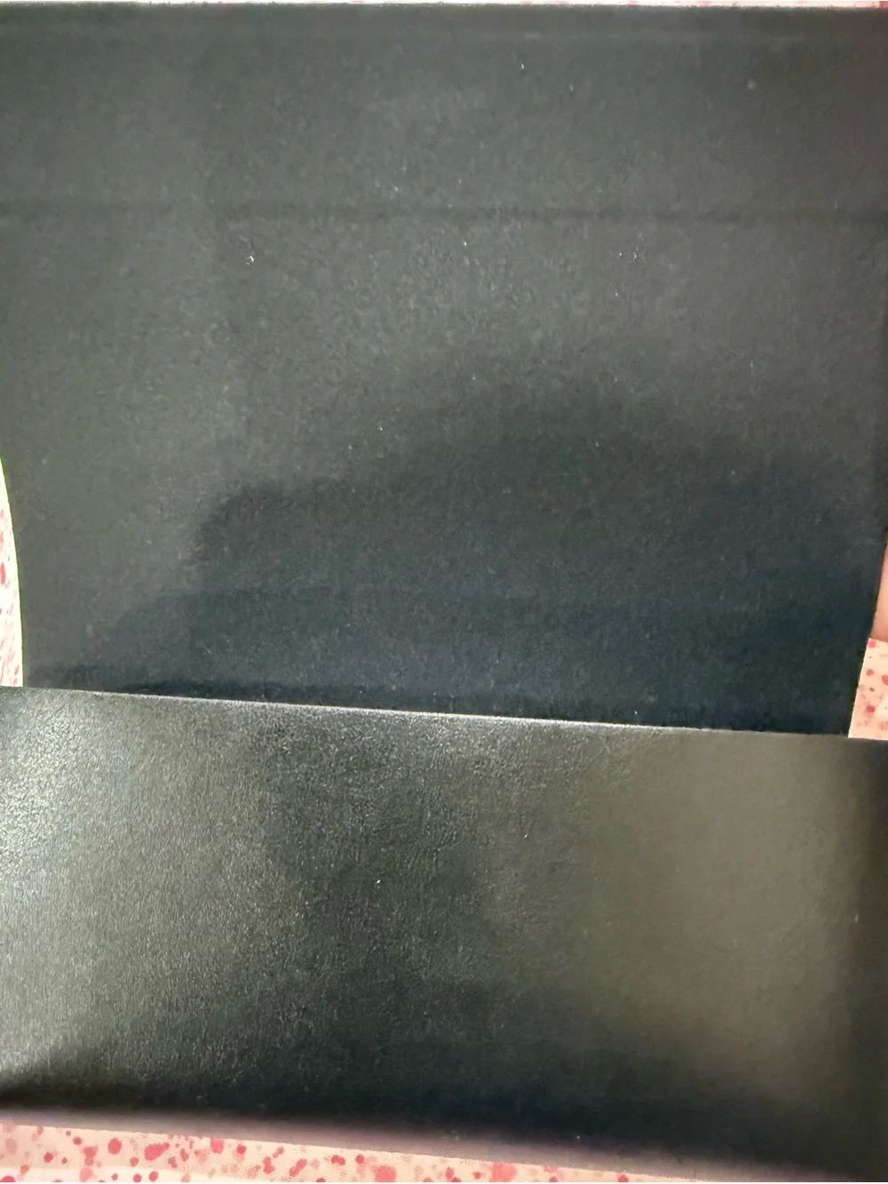 MaxMara Black Sunglasses Case with Gold Logo